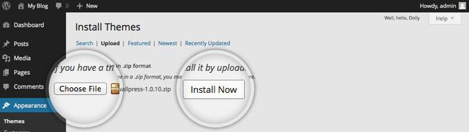 wordpresstheme7